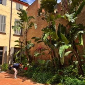 Perpignan, Ille-sur-Têt et Collioure ☀️.#france #city